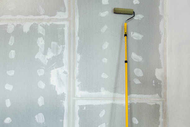Best Emergency Mold Remediation  in Moscow, ID
