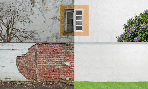 Best Real Estate Mold Inspection  in Moscow, ID