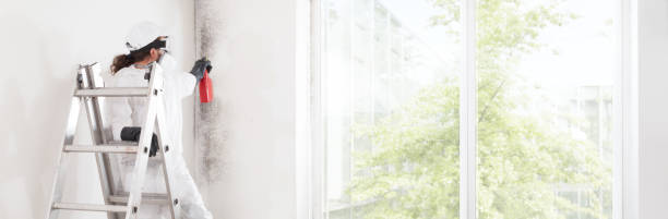 Best Water Damage & Mold Remediation  in Moscow, ID