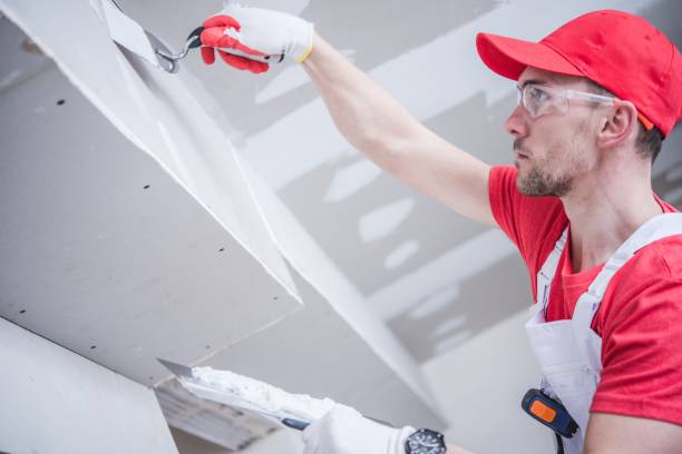 Environmental Consulting for Mold Prevention in Moscow, ID